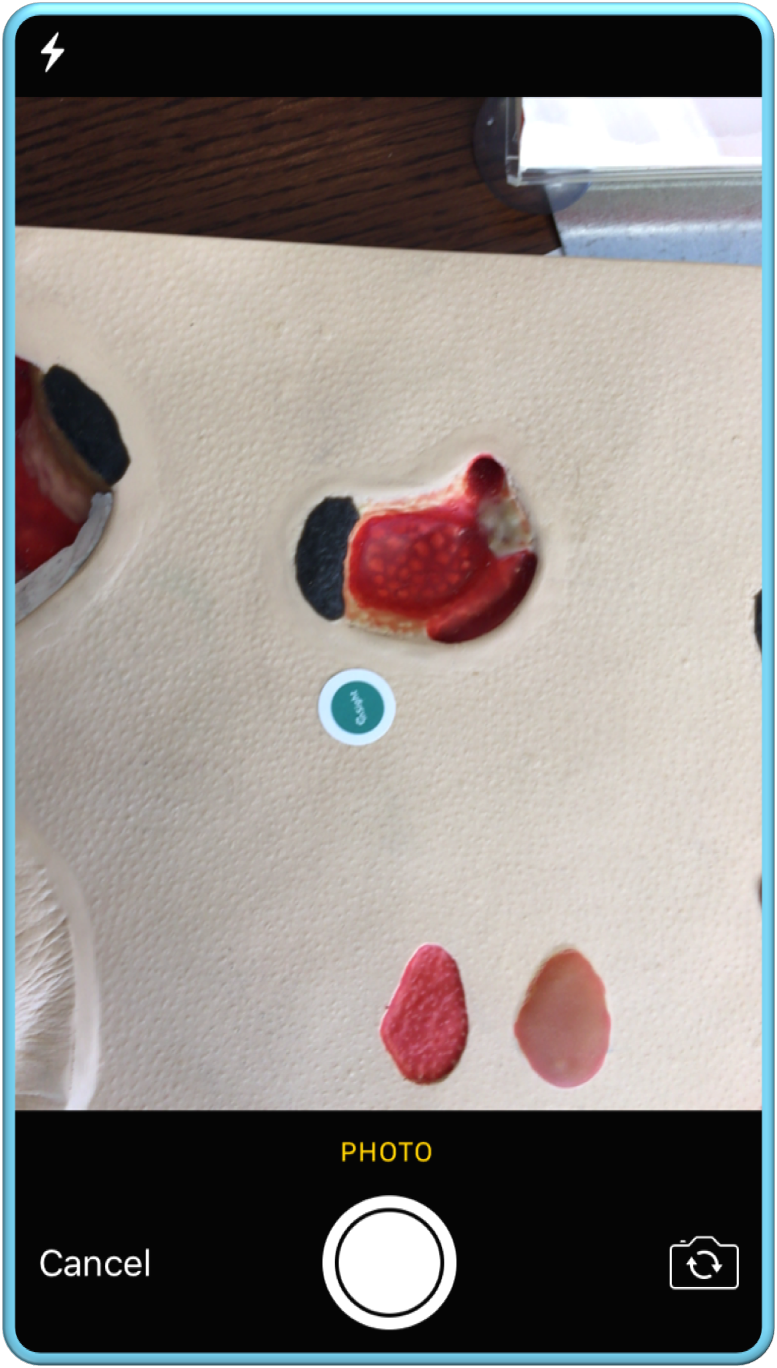 Gallery_pic_1.png