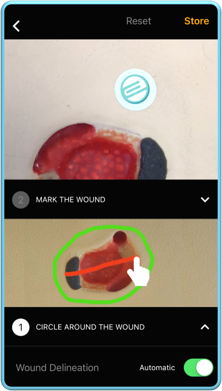 Automatic_Tracing_4.png